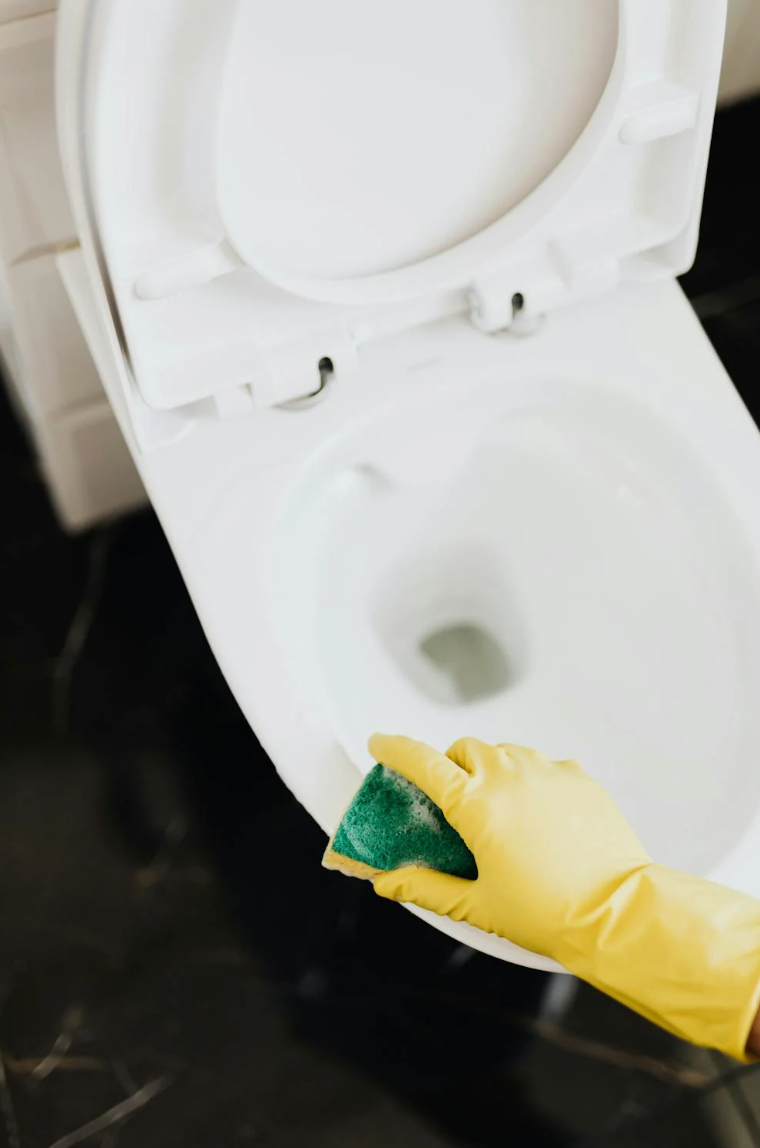 Seasonal Cleaning - Every 3 Months - ExoDust Cleaning